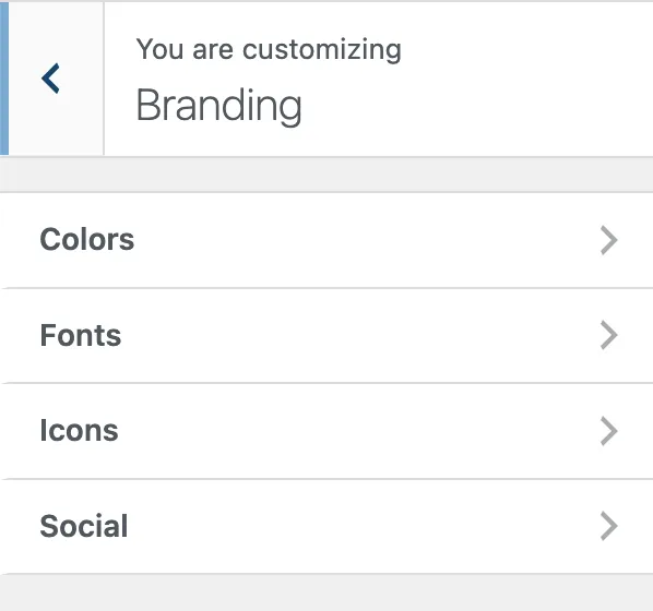 Customizer Branding